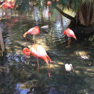 Meet your Posher, Cathy